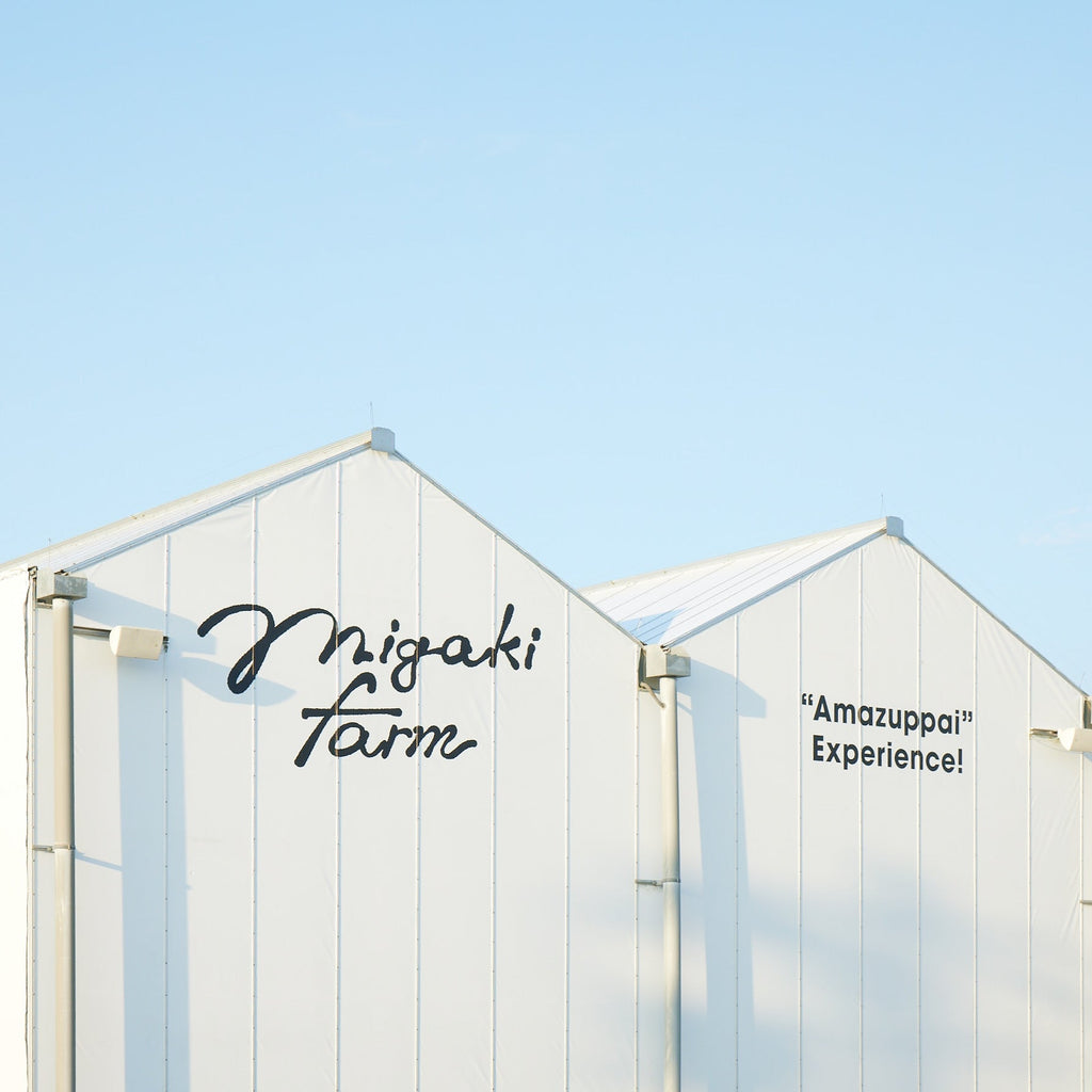 MIGAKI-ICHIGO ONLINE SHOP