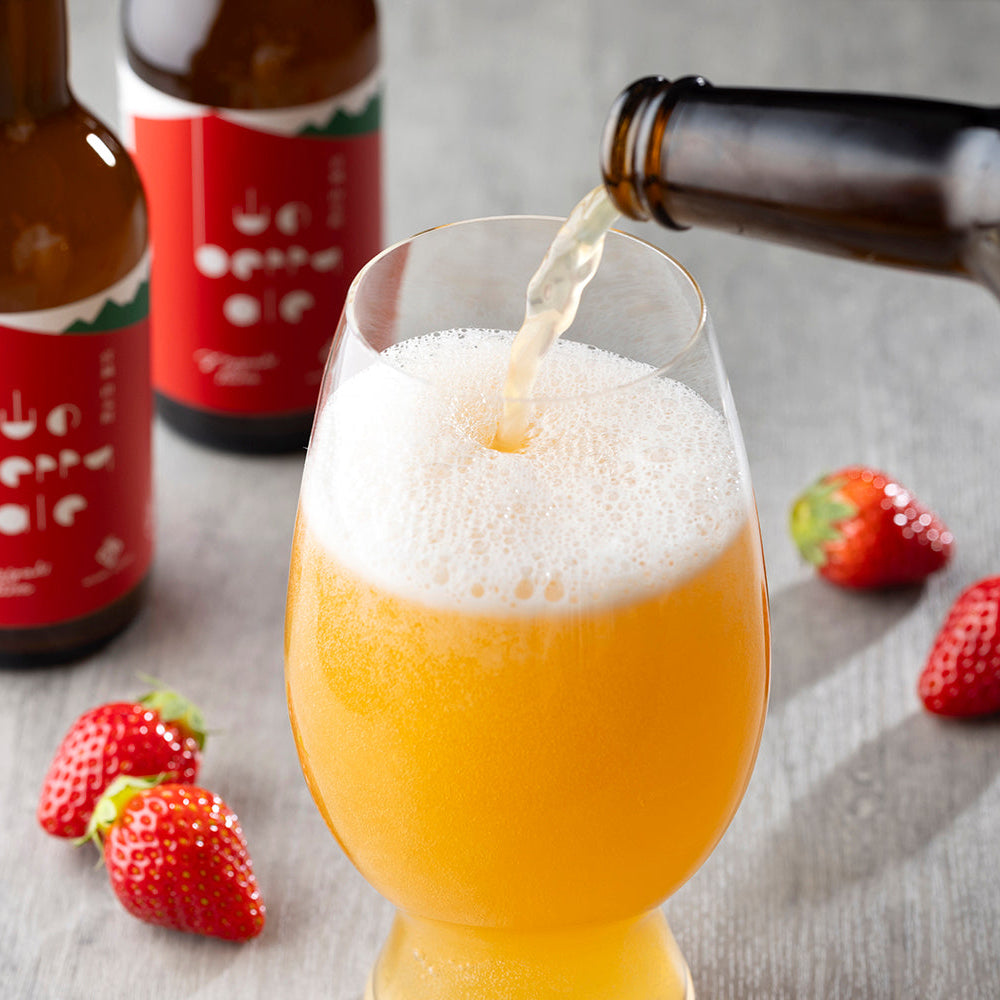 【MIGAKI FARM CRAFT】山のberry ale