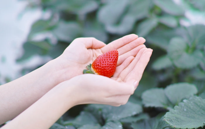 MIGAKI-ICHIGO ONLINE SHOP